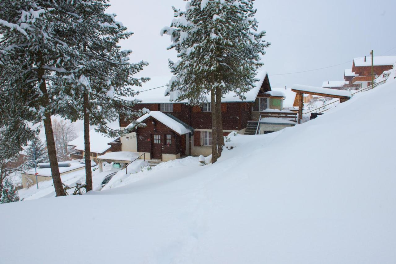 Chalet 4 Personnes Avec Sauna Лейсен Экстерьер фото