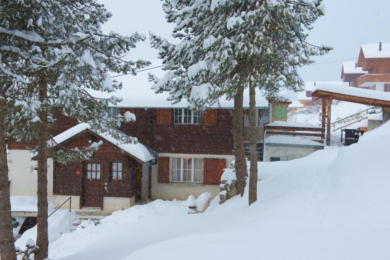 Chalet 4 Personnes Avec Sauna Лейсен Экстерьер фото