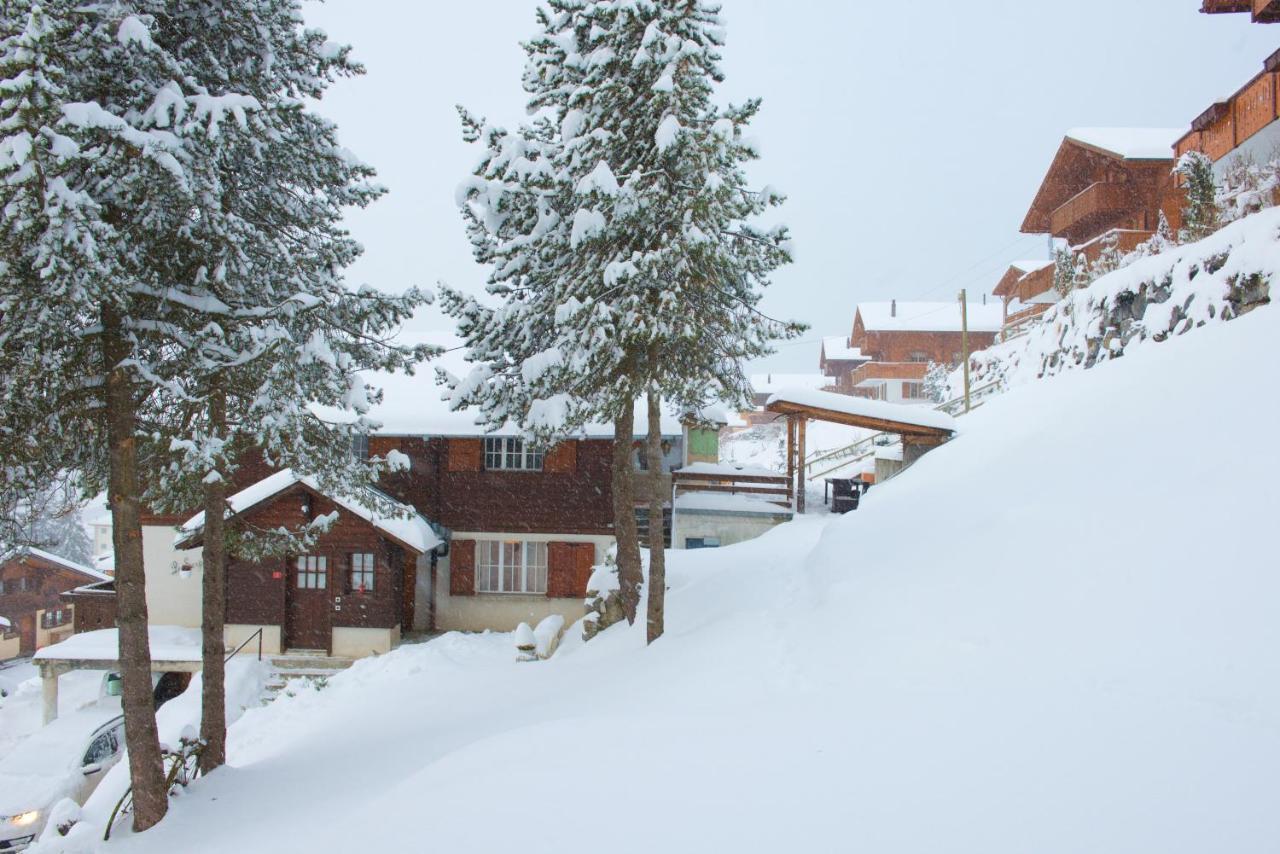 Chalet 4 Personnes Avec Sauna Лейсен Экстерьер фото